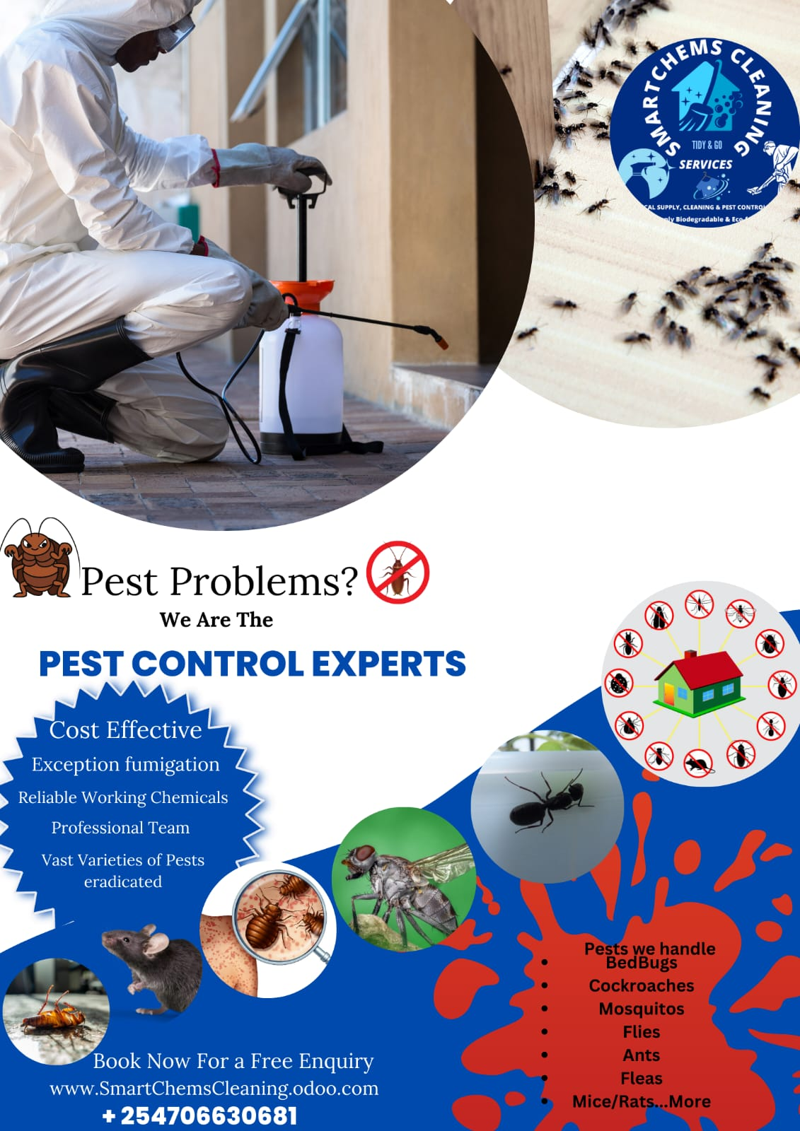 Pest Control Experts — Smartchems Cleaning Services Nairobi